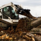 stump-bucket.jpg